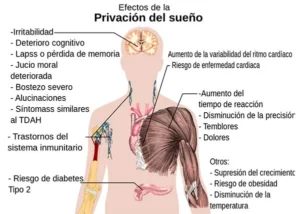 efectos privacion del sueno jpg